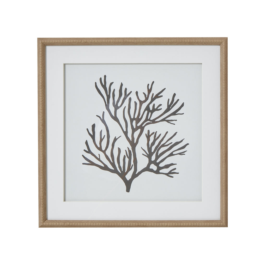 Reef Coral Art Mounted In Beaded Frame
