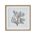 Reef Coral Art Mounted In Beaded Frame