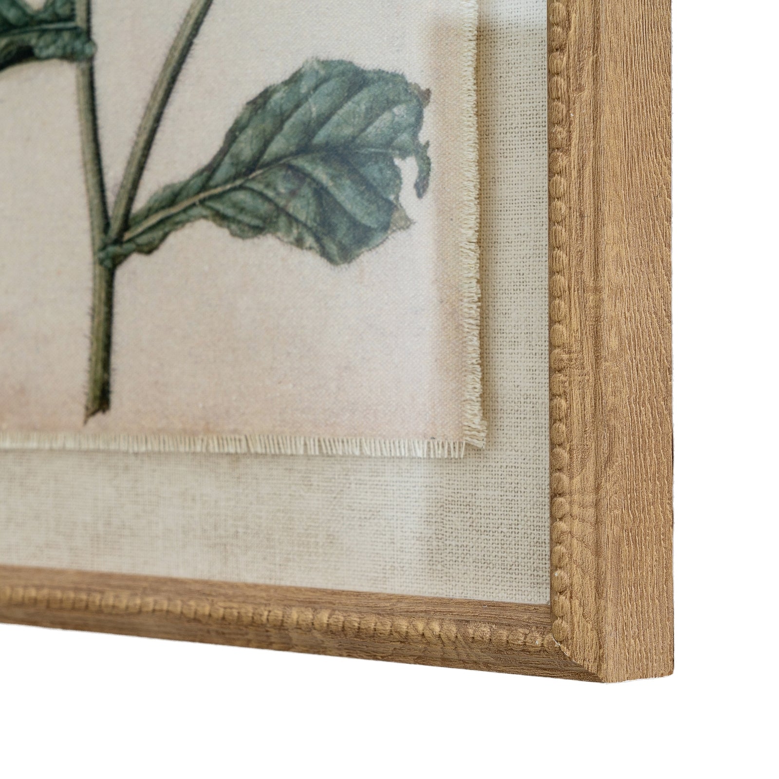 Flora & Fauna Collection Borage On Linen In Beaded Frame