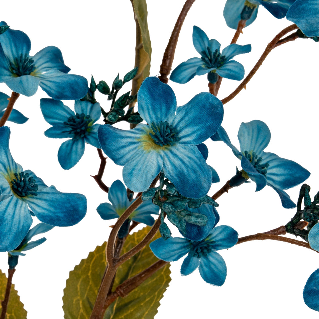Blue Vernicia Fordii Spray