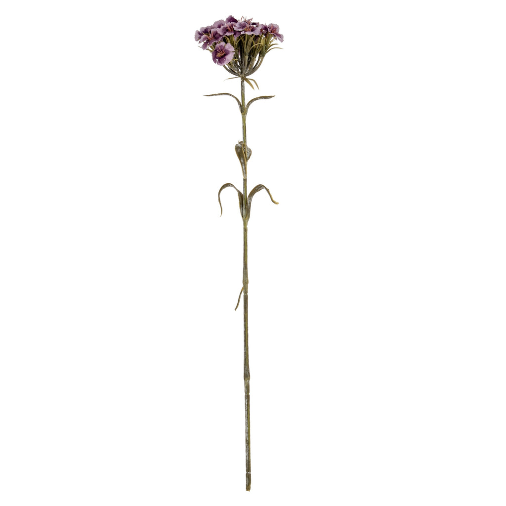 Purple Dianthus Spray
