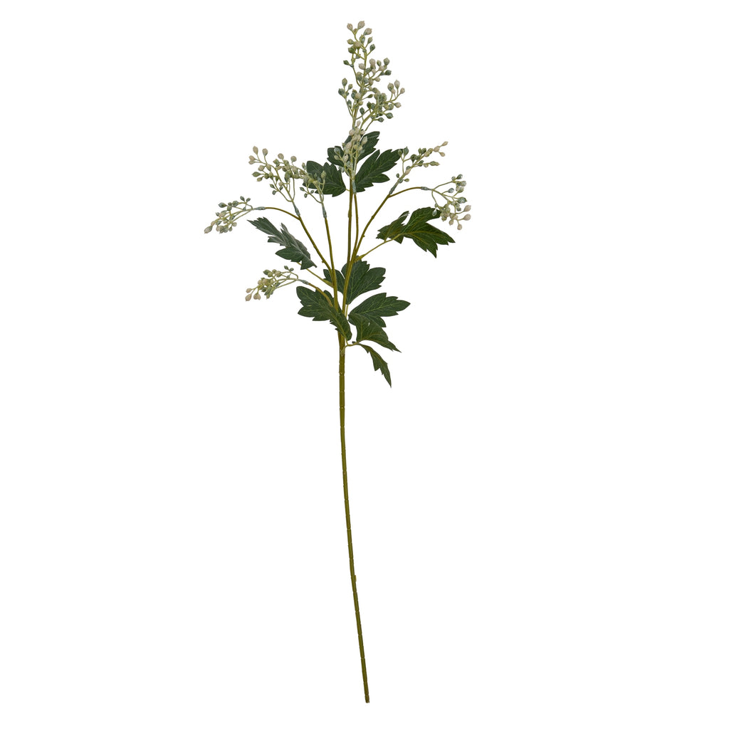 Milk Thistle Bud Spray