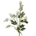 Milk Thistle Bud Spray